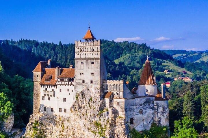 Bran Castle & Bear Sanctuary Day Tour from Bucharest — Transylvania Highlights