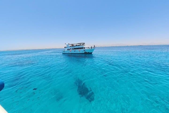 Marsa Mubarak Dugongs and Turtles Snorkeling from Marsa Alam photo 5