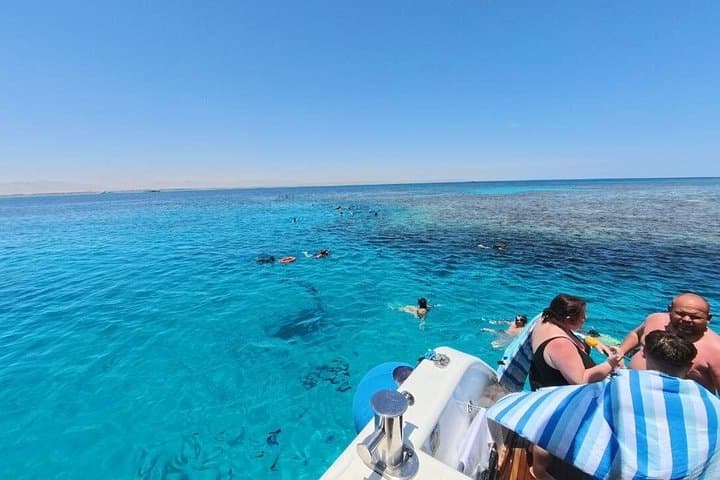 Marsa Mubarak Dugongs and Turtles Snorkeling from Marsa Alam photo 6