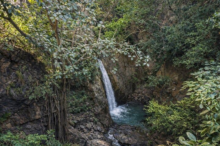 Kotli Bhel Day Hike from Rishikesh: Vashishta Cave & Ganges River Trail photo 4