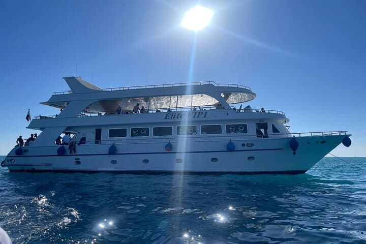 Marsa Alam VIP Turtle Bay Snorkeling Cruise with BBQ Lunch photo 5