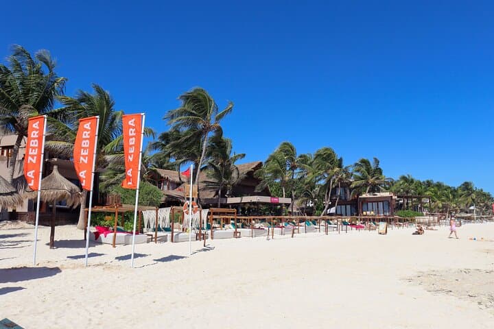 La Zebra Beach Club Experience in Tulum: Beach Beds, Rooftop Views & Coastal Cuisine photo 5