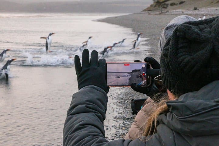 Walk with Penguins on Martillo Island — Wildlife Walk from Ushuaia photo 6