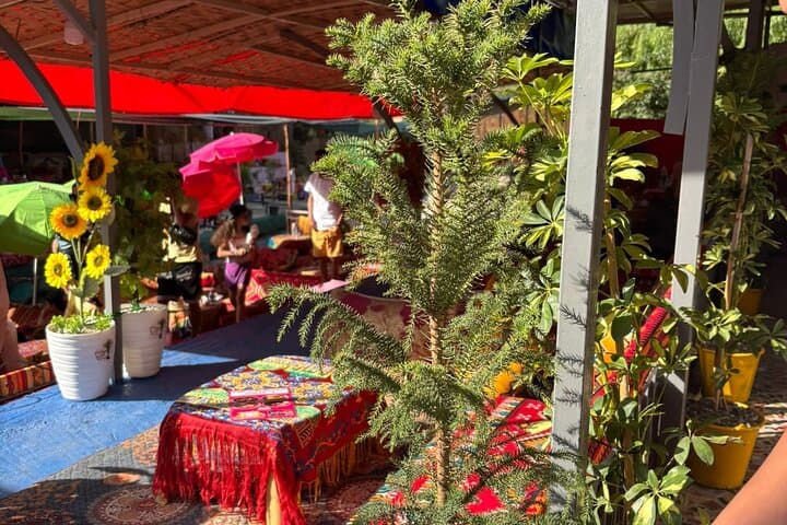 Ourika Valley Day Trip from Marrakech: Waterfalls, Amazigh Villages and Argan Oil