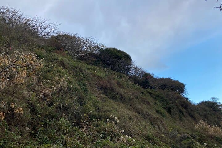 Kamakura Seaside Morning Walking Tour: Four Coastal Views & Samurai History photo 6