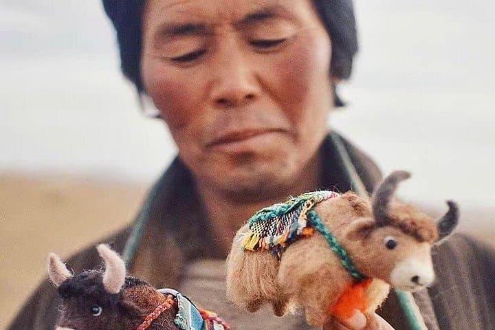 Tibetan Plateau Snow Leopard Expedition: 10-Day Wildlife Safari photo 6