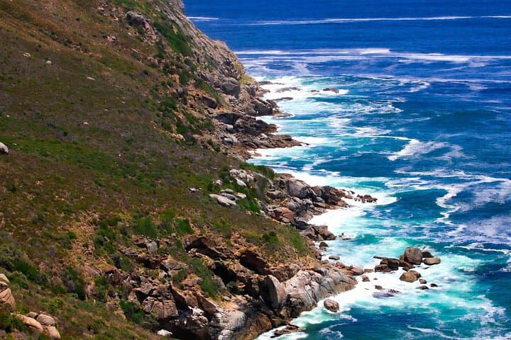 Cape of Good Hope Sunset Tour from Cape Town: Boulders, Chapman's Peak & Maiden's Cove photo 6