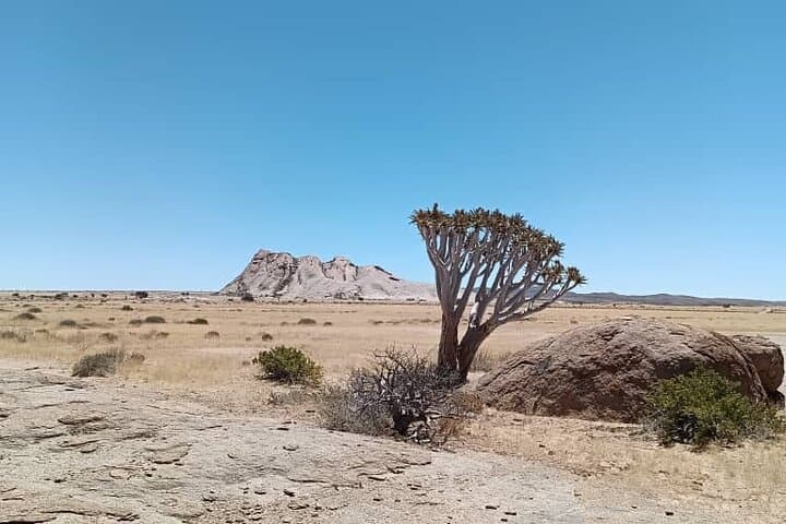 Namib Naukluft Landscape & Birding Day Tour from Walvis Bay photo 2