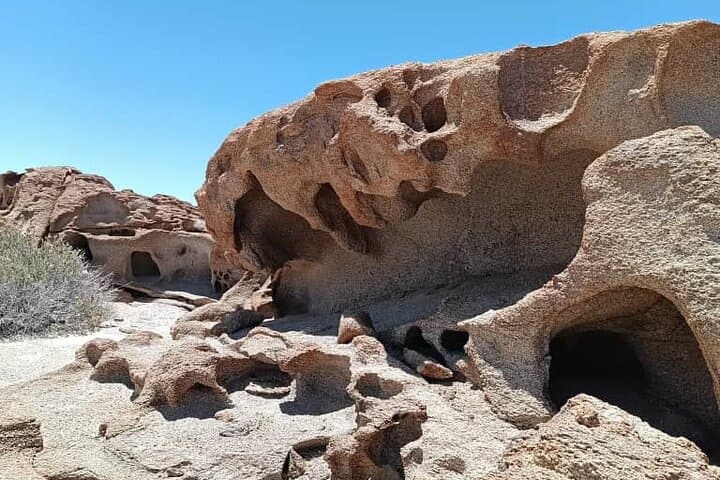 Namib Naukluft Landscape & Birding Day Tour from Walvis Bay photo 6