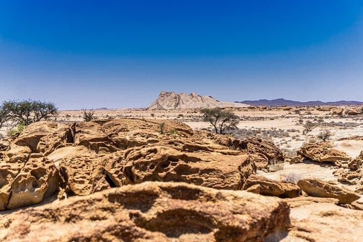 Namib Naukluft Landscape & Birding Day Tour from Walvis Bay