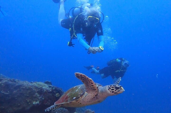 Single Dive Eden Island, Seychelles — Guided Scuba & Coral Conservation