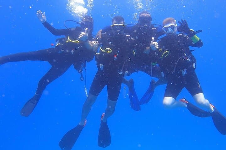 Single Dive Eden Island, Seychelles — Guided Scuba & Coral Conservation photo 6