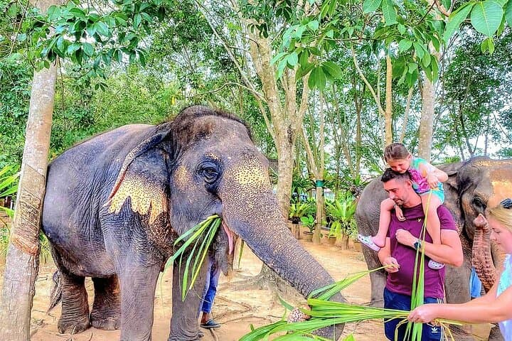 Samui Elephant Sanctuary: Ethical Half-Day Visit to Koh Samui's Largest Refuge photo 2