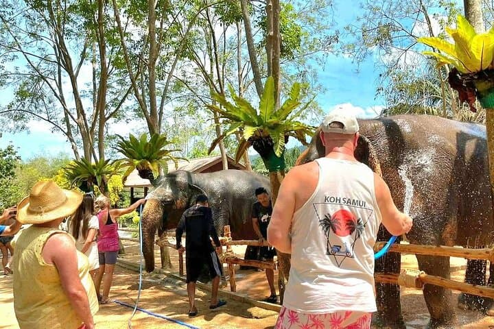 Samui Elephant Sanctuary: Ethical Half-Day Visit to Koh Samui's Largest Refuge photo 5