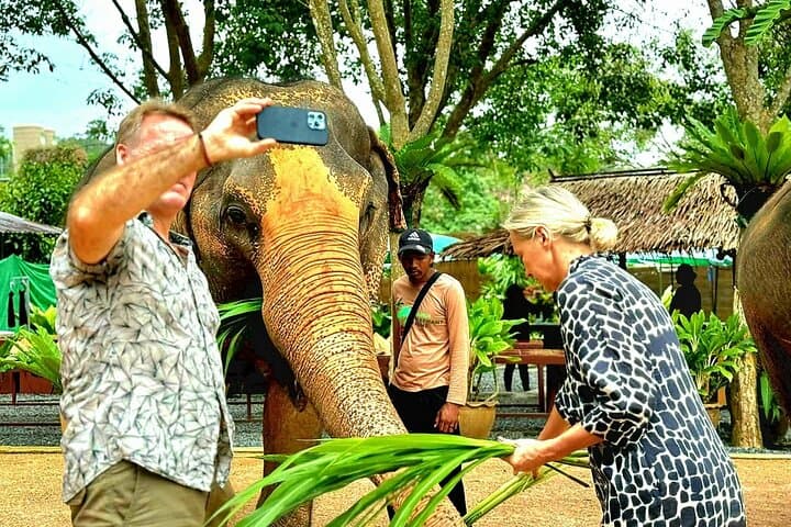 Samui Elephant Sanctuary: Ethical Half-Day Visit to Koh Samui's Largest Refuge photo 6
