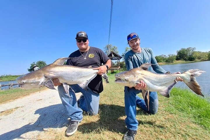 Predator Fishing on the Chaophraya: Catfish, Snakehead & Barramundi Day Trip