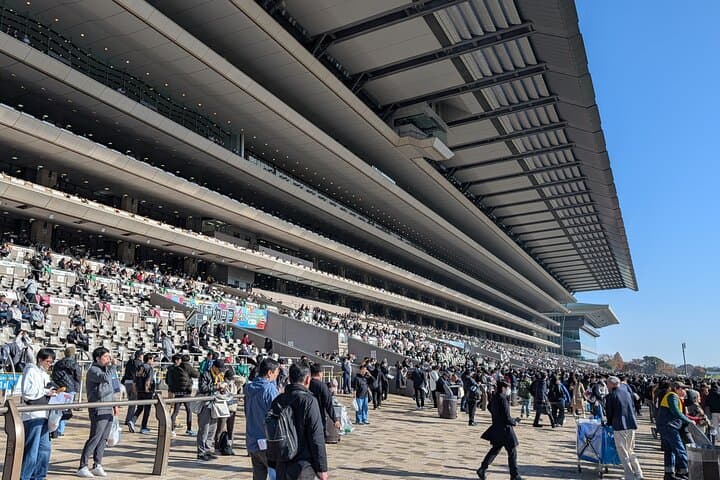 Inside Tokyo’s Horse-Racing Rituals: Private Tour with a Local Expert