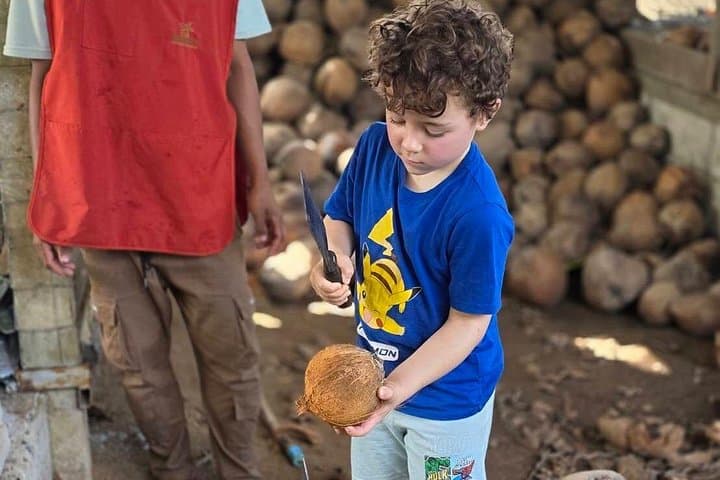 Coconut Culture and Ethical Elephants: Sustainable Full-Day in Koh Samui photo 4