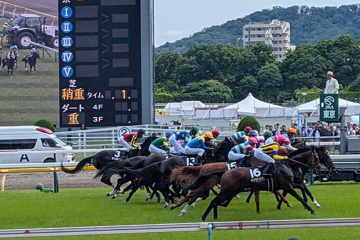 Inside Tokyo’s Horse-Racing Rituals: Private Tour with a Local Expert