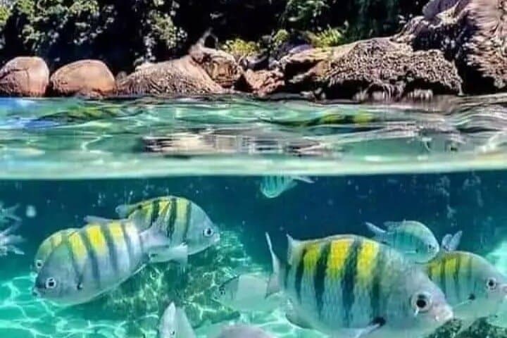 Escuna Tour Through Paraty Bay: Beaches, Islands & Snorkeling photo 3