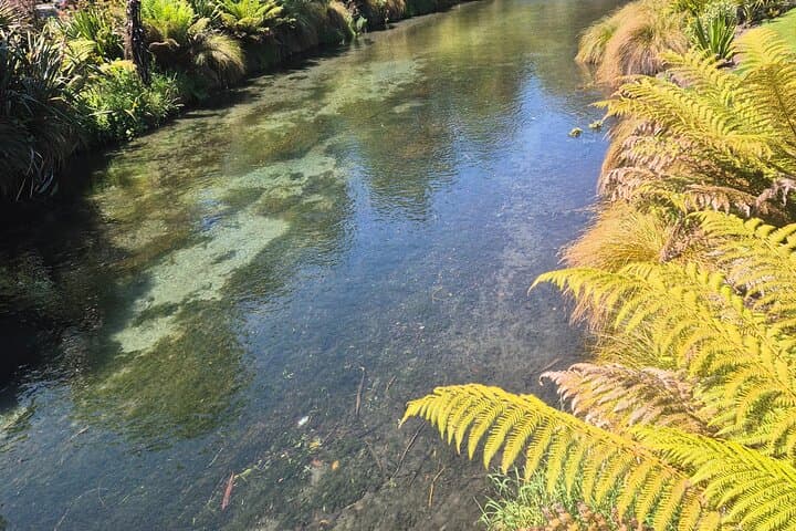 Half-Day Christchurch Scenic Tour: Cashmere Hills, Sumner & Botanic Gardens photo 3