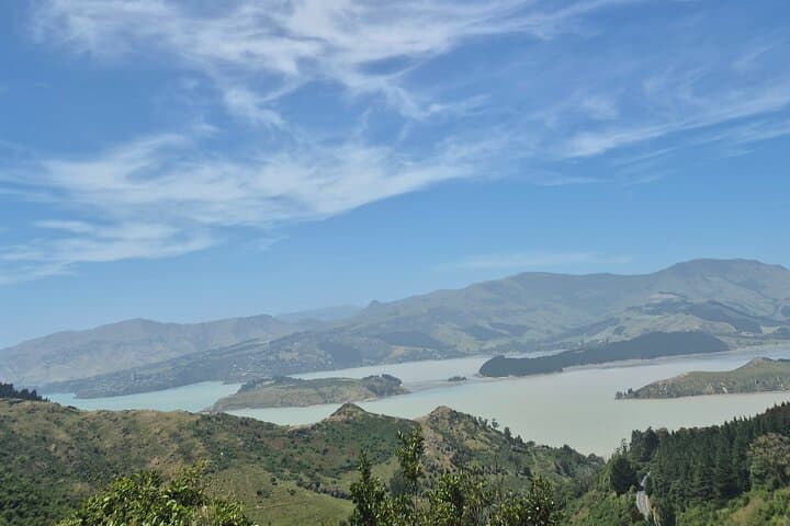 Half-Day Christchurch Scenic Tour: Cashmere Hills, Sumner & Botanic Gardens photo 5