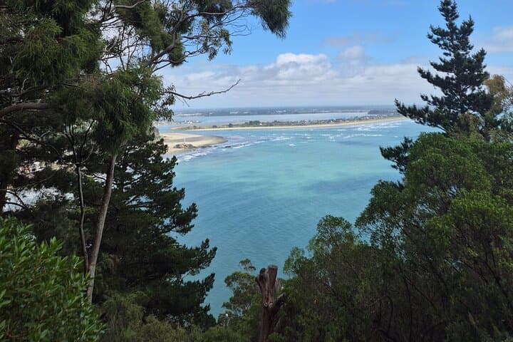 Half-Day Christchurch Scenic Tour: Cashmere Hills, Sumner & Botanic Gardens photo 6