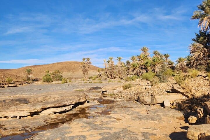 Sahara Overnight: 4x4 & Camel Camp at Erg Chigaga from Foum Zguid photo 4