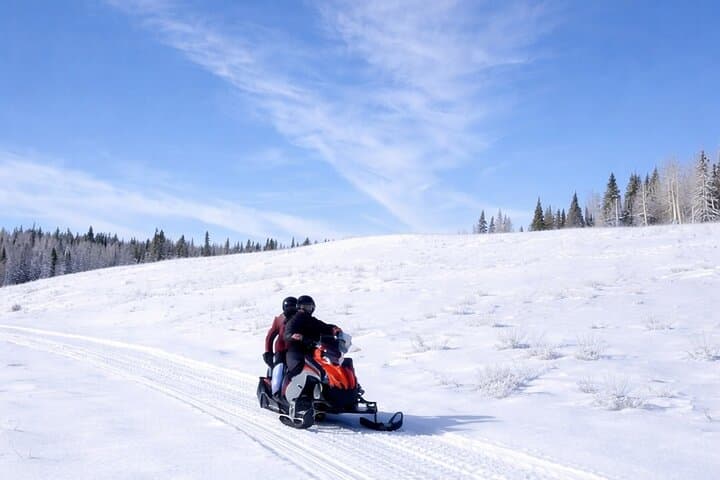 Guided Snowmobile and UTV Tours Near Rabbit Ears Pass — Steamboat Springs Winter Rides photo 4