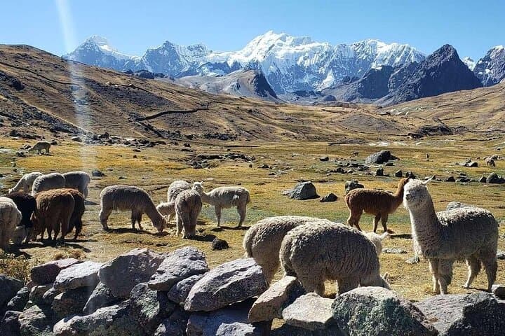 Ausangate 7 Lakes Full-Day Tour from Cusco — Hike, Hot Springs & Andean Lagoons photo 2