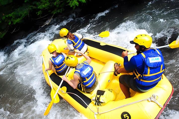 Telaga Waja White Water Rafting Bali: 18km River Run & Bajing Dam Jump photo 6