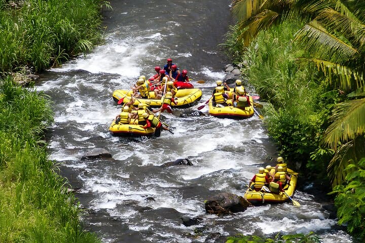 Telaga Waja White Water Rafting Bali: 18km River Run & Bajing Dam Jump