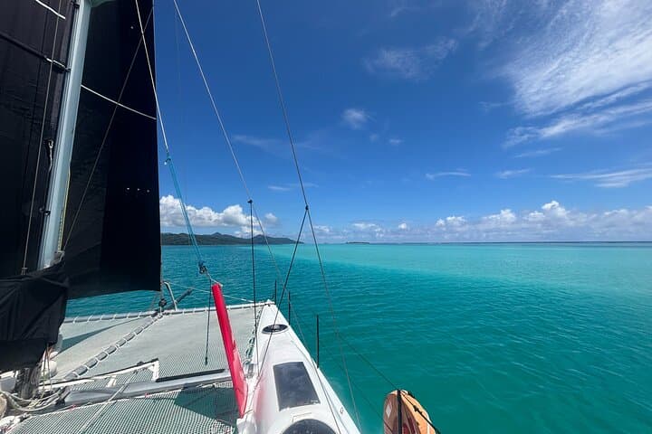 Half-Day Catamaran Sailing in Sailinity Lagoon — Raiatea Wildlife & Snorkel