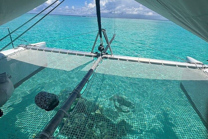 Half-Day Catamaran Sailing in Sailinity Lagoon — Raiatea Wildlife & Snorkel photo 6