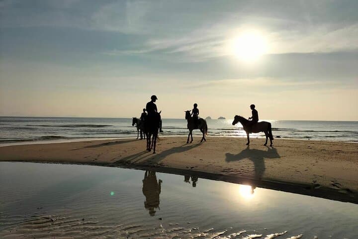 Horseback Riding on Koh Samui Beaches: Sunrise and Sunset Coastal Rides