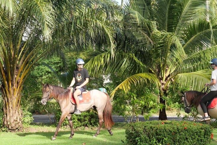 Horseback Riding on Koh Samui Beaches: Sunrise and Sunset Coastal Rides photo 3