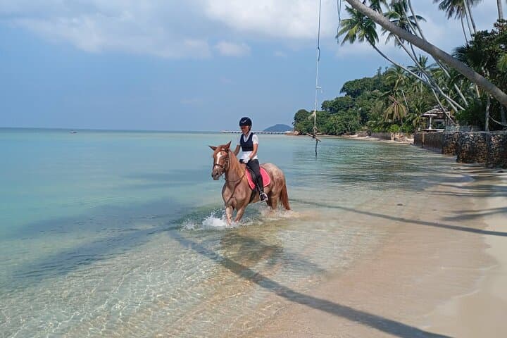 Horseback Riding on Koh Samui Beaches: Sunrise and Sunset Coastal Rides photo 4