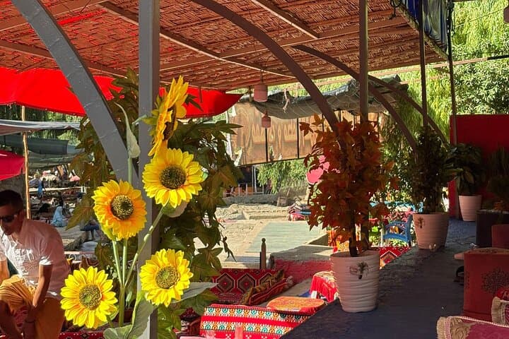 Ourika Valley Day Trip from Marrakech: Waterfalls, Amazigh Villages and Argan Oil photo 4