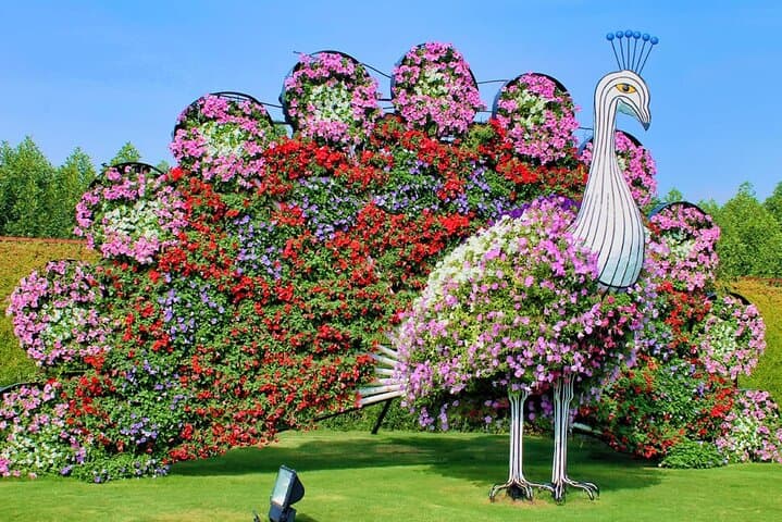 Dubai Miracle Garden Admission — Explore 45 Million Flowers & Iconic Photo Spots photo 4