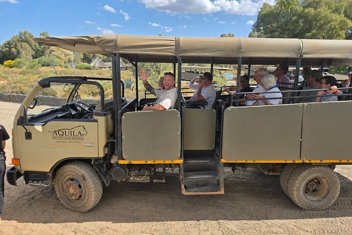 Aquila Game Reserve: Big Five Sunset Safari with Swimming from Cape Town photo 1