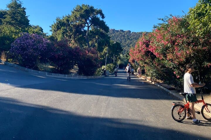 Büyükada Cycling Tour: Bike the Princes' Island with a Local Guide photo 6