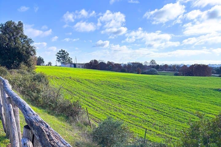 E‑Bike the Old Apulian Aqueduct: Ostuni to Locorotondo through the Valle d'Itria photo 3