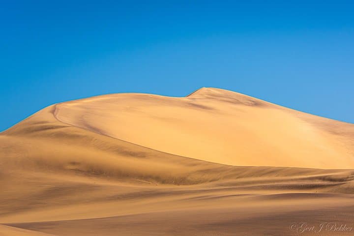 Sandwich Harbour Dunes & Lagoon: Walvis Bay Flamingos, Pink Salt Lakes and Picnic photo 4