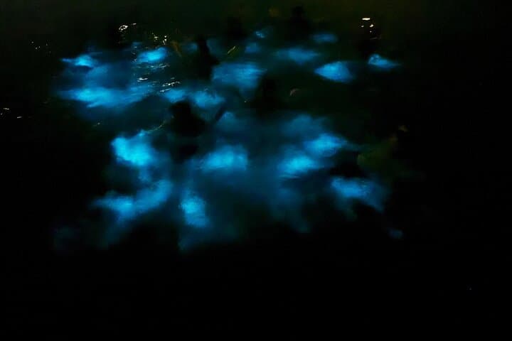 Night Snorkel in Grand Cayman’s Bioluminescent Bay — Private North Sound Tour