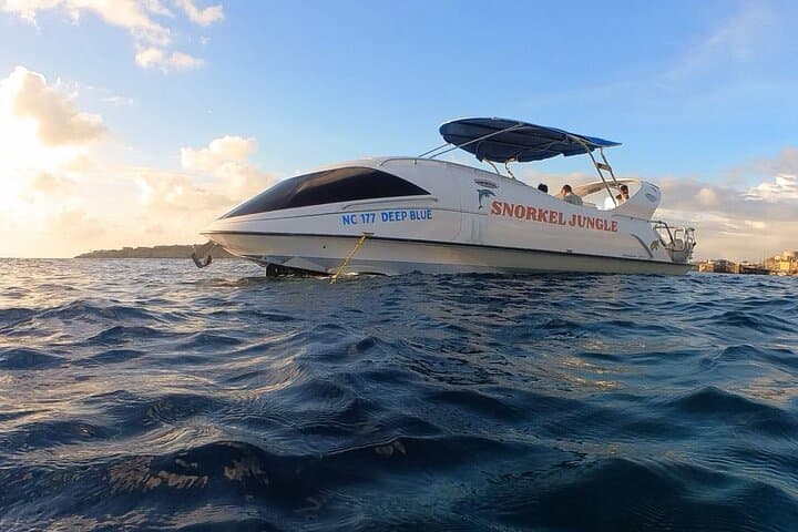 Glass-Bottom Hydrofoil Snorkel Tour in Curaçao: Explore Vibrant Reefs photo 2