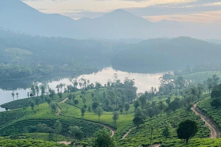 Kochi to Munnar Day Tour: Eravikulam, Lockhart Tea & Waterfalls photo 2