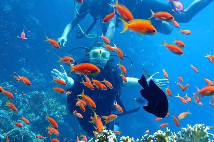 Full-Day Beginner Scuba Diving in Hurghada: Two Reef Dives, Lunch & Hotel Pickup photo 2