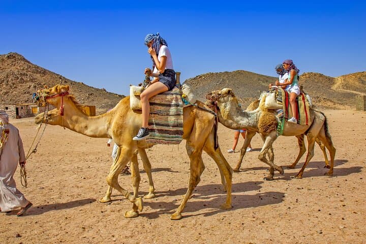 Echo Mountain ATV and Camel Safari in Sharm El Sheikh photo 2