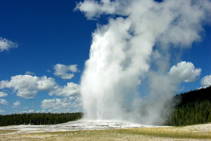 Yellowstone Lower Loop Safari from Jackson Hole — Full-Day Geysers & Wildlife photo 4