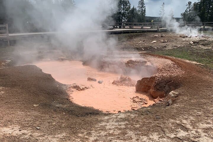 Yellowstone Lower Loop Safari from Jackson Hole — Full-Day Geysers & Wildlife photo 6